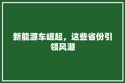 新能源车崛起，这些省份引领风潮
