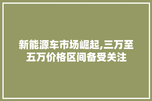 新能源车市场崛起,三万至五万价格区间备受关注