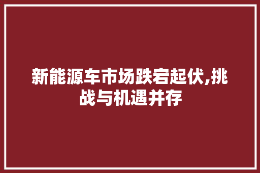 新能源车市场跌宕起伏,挑战与机遇并存