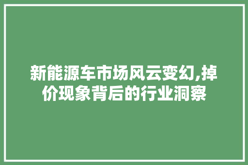 新能源车市场风云变幻,掉价现象背后的行业洞察