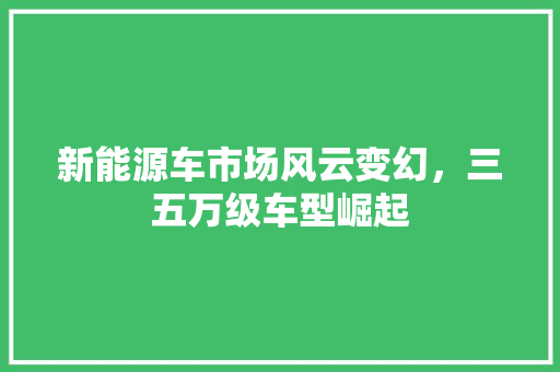 新能源车市场风云变幻，三五万级车型崛起