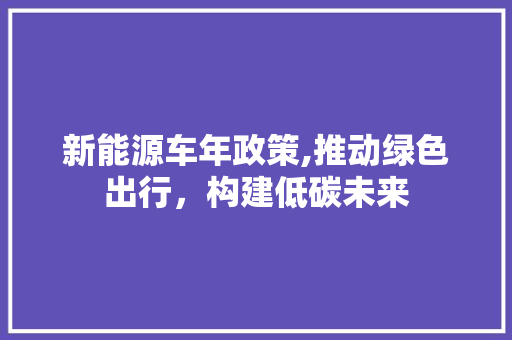 新能源车年政策,推动绿色出行，构建低碳未来