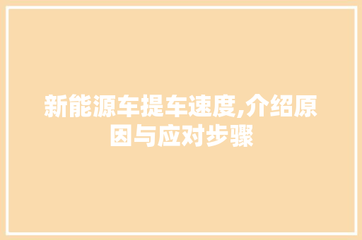 新能源车提车速度,介绍原因与应对步骤 新款车型
