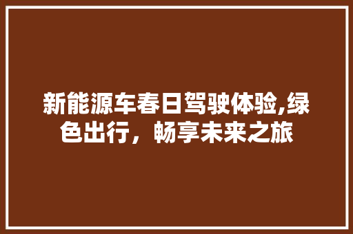 新能源车春日驾驶体验,绿色出行，畅享未来之旅