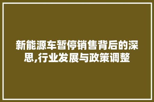新能源车暂停销售背后的深思,行业发展与政策调整