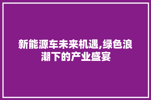 新能源车未来机遇,绿色浪潮下的产业盛宴