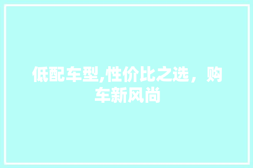 低配车型,性价比之选，购车新风尚