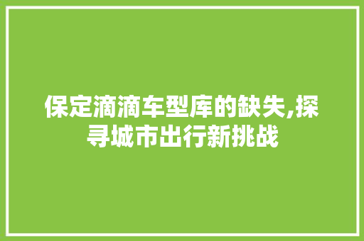 保定滴滴车型库的缺失,探寻城市出行新挑战