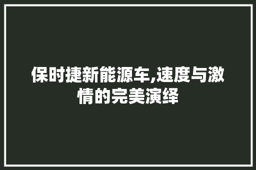 保时捷新能源车,速度与激情的完美演绎 新款车型
