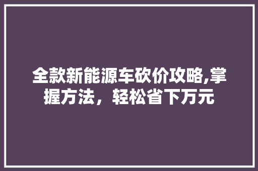 全款新能源车砍价攻略,掌握方法，轻松省下万元