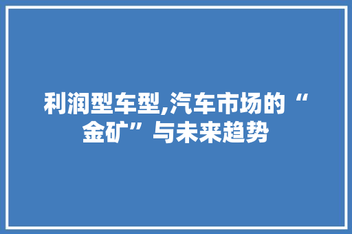 利润型车型,汽车市场的“金矿”与未来趋势
