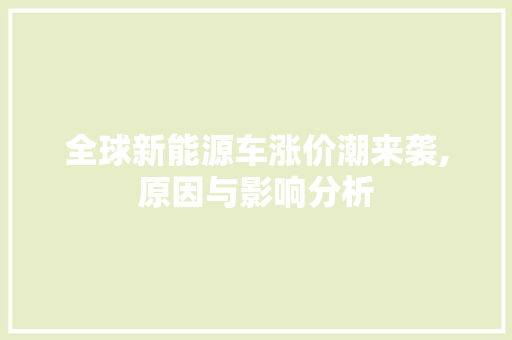 全球新能源车涨价潮来袭,原因与影响分析
