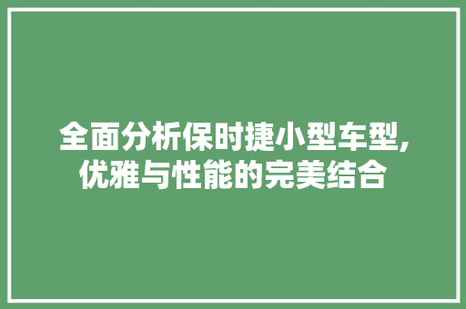 全面分析保时捷小型车型,优雅与性能的完美结合