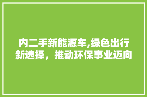 内二手新能源车,绿色出行新选择，推动环保事业迈向新高峰