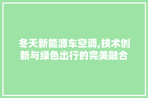 冬天新能源车空调,技术创新与绿色出行的完美融合