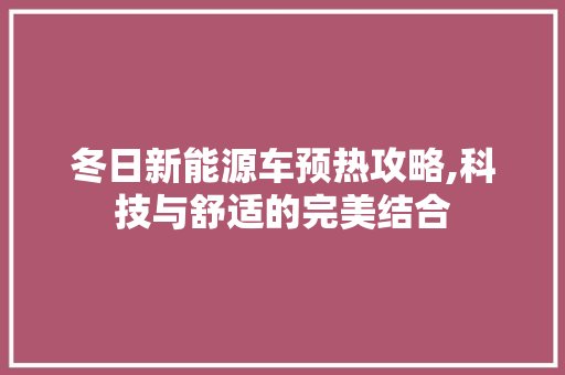 冬日新能源车预热攻略,科技与舒适的完美结合
