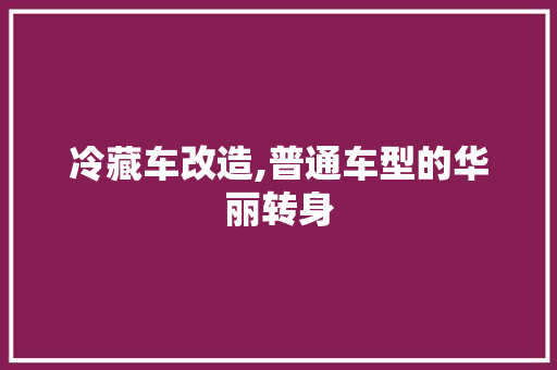 冷藏车改造,普通车型的华丽转身 车身配件