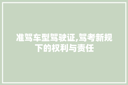 准驾车型驾驶证,驾考新规下的权利与责任