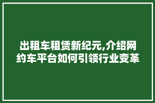 出租车租赁新纪元,介绍网约车平台如何引领行业变革