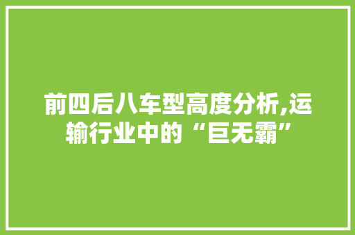 前四后八车型高度分析,运输行业中的“巨无霸”