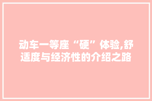 动车一等座“硬”体验,舒适度与经济性的介绍之路