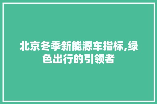北京冬季新能源车指标,绿色出行的引领者