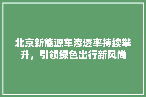 北京新能源车渗透率持续攀升，引领绿色出行新风尚