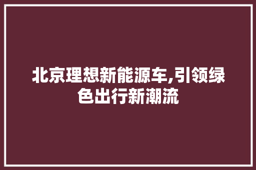 北京理想新能源车,引领绿色出行新潮流