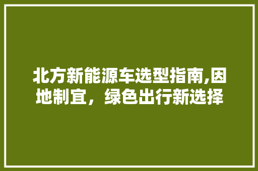 北方新能源车选型指南,因地制宜，绿色出行新选择