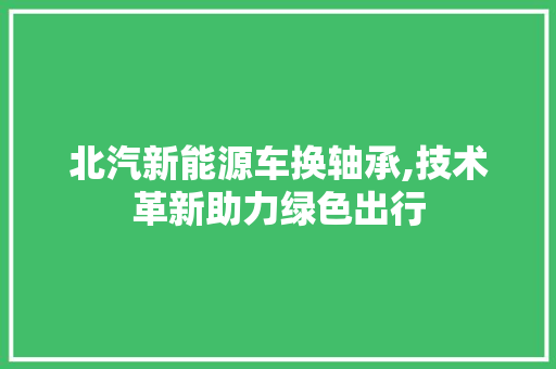 北汽新能源车换轴承,技术革新助力绿色出行