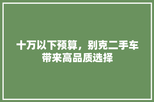 十万以下预算，别克二手车带来高品质选择