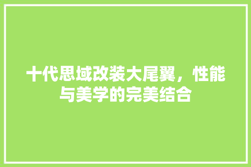 十代思域改装大尾翼，性能与美学的完美结合