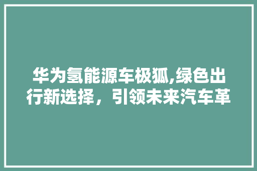 华为氢能源车极狐,绿色出行新选择，引领未来汽车革命