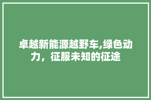 卓越新能源越野车,绿色动力，征服未知的征途