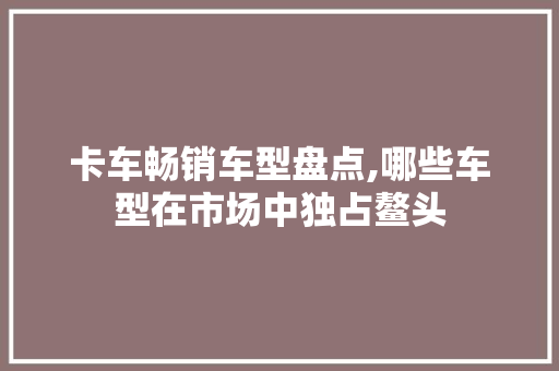 卡车畅销车型盘点,哪些车型在市场中独占鳌头