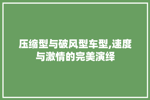 压缩型与破风型车型,速度与激情的完美演绎