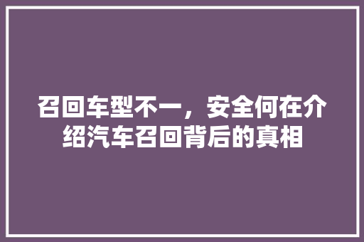 召回车型不一，安全何在介绍汽车召回背后的真相