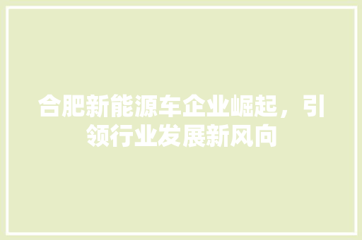 合肥新能源车企业崛起，引领行业发展新风向 车身配件