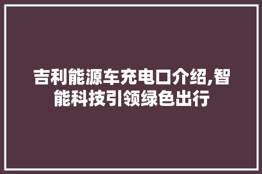 吉利能源车充电口介绍,智能科技引领绿色出行