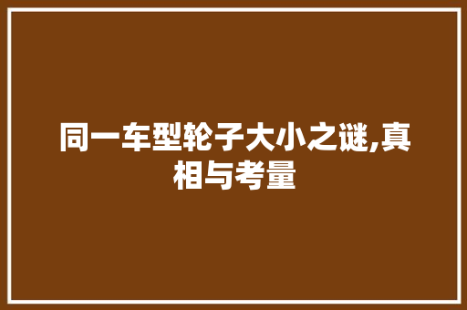 同一车型轮子大小之谜,真相与考量