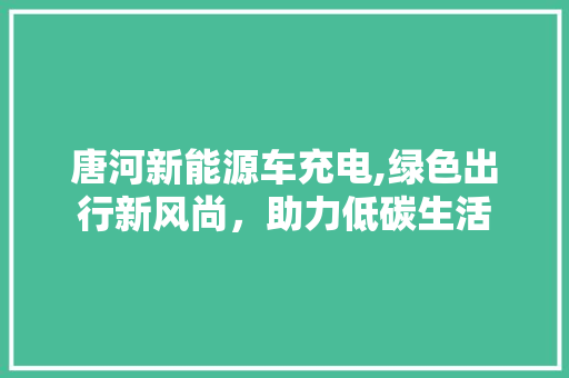 唐河新能源车充电,绿色出行新风尚，助力低碳生活