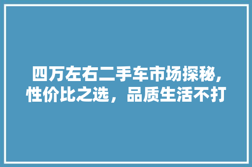 四万左右二手车市场探秘,性价比之选，品质生活不打折