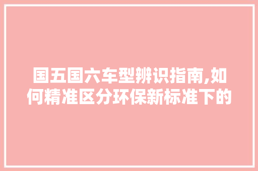 国五国六车型辨识指南,如何精准区分环保新标准下的车辆