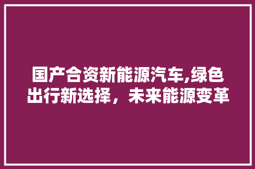 国产合资新能源汽车,绿色出行新选择，未来能源变革的先锋