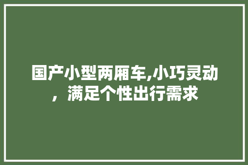 国产小型两厢车,小巧灵动，满足个性出行需求