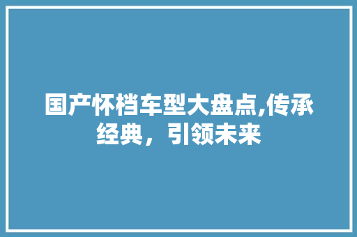 国产怀档车型大盘点,传承经典，引领未来