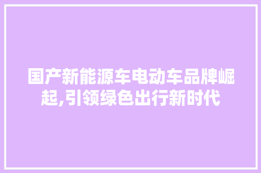 国产新能源车电动车品牌崛起,引领绿色出行新时代