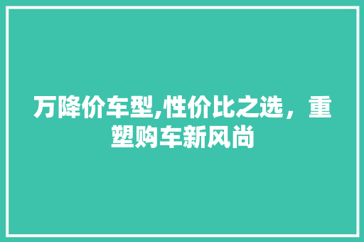 万降价车型,性价比之选，重塑购车新风尚