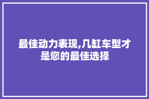 最佳动力表现,几缸车型才是您的最佳选择 新款车型