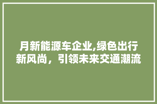 月新能源车企业,绿色出行新风尚，引领未来交通潮流